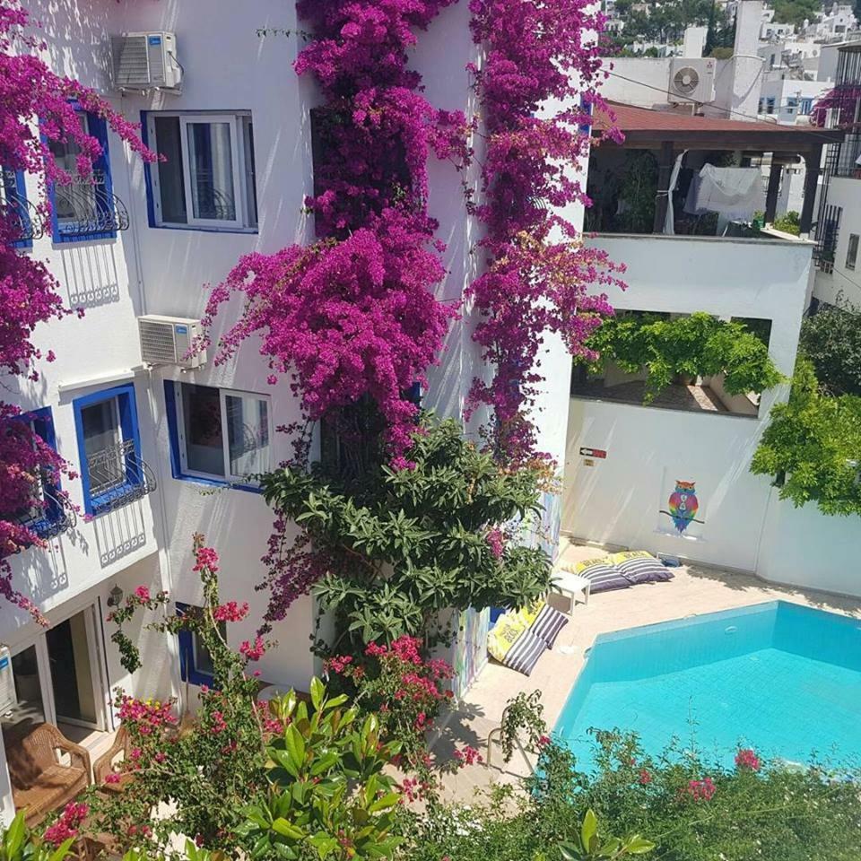 Eskici Hostel Bodrum Luaran gambar